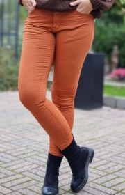 Catocobyxaterracotta